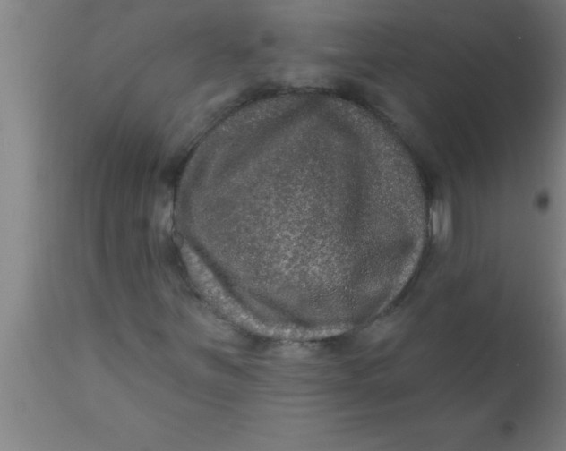 X0000111161251200907211218