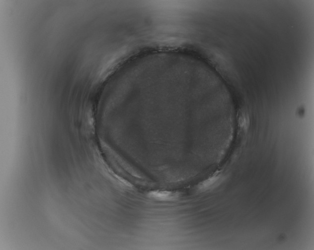 X0000111161252200907211218