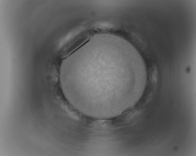 X0000111161253200907211218