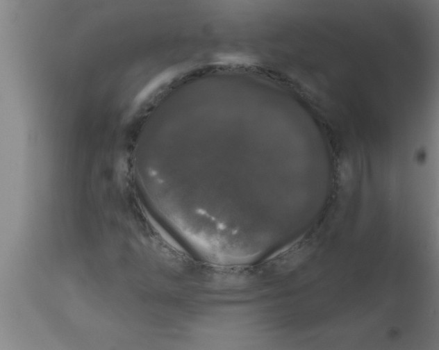 X0000111161254200907211218