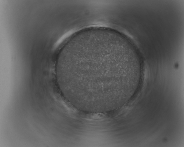 X0000111161255200907211218