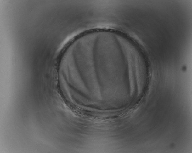 X0000111161256200907211218