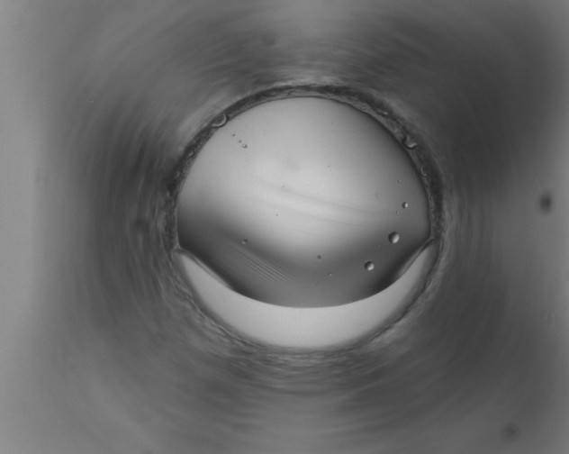 X0000111161257200907211218