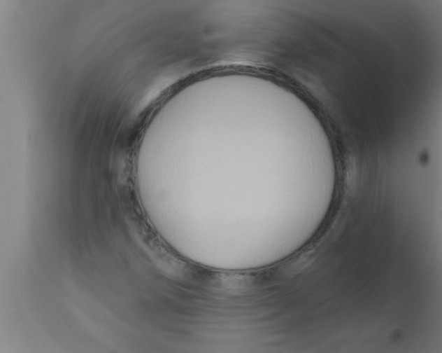 X0000111161258200907211218