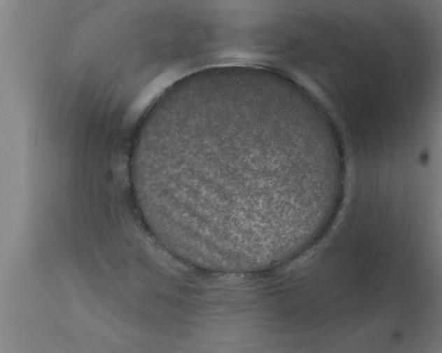 X0000111161259200907211218