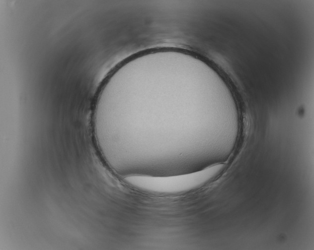 X0000111161260200907211218