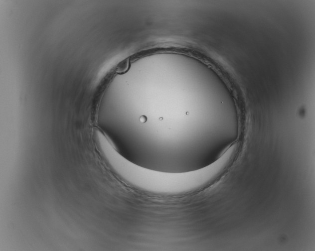 X0000111161261200907211218