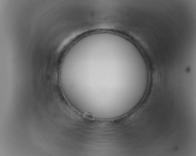 X0000111161262200907211218