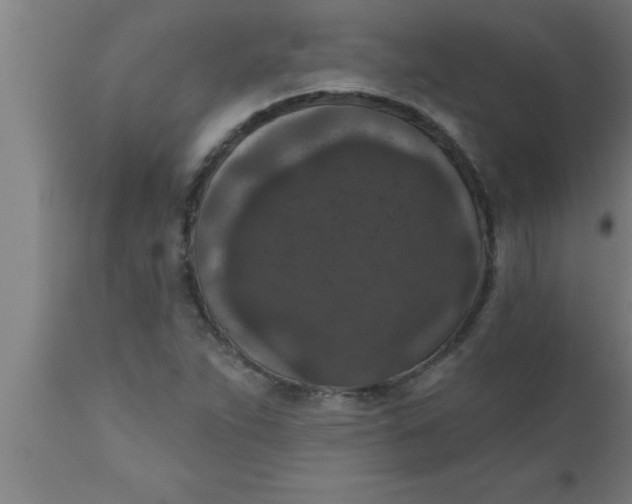 X0000111161263200907211218