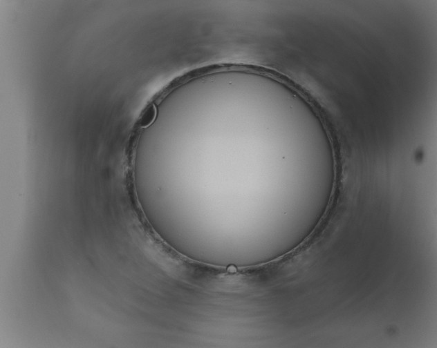 X0000111161264200907211218