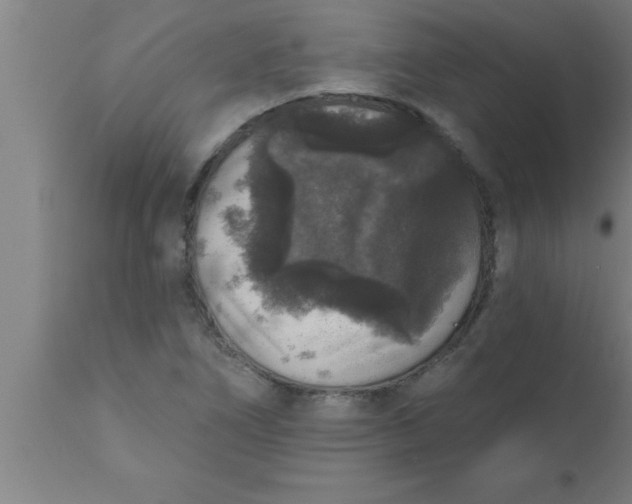 X0000111161266200907211218