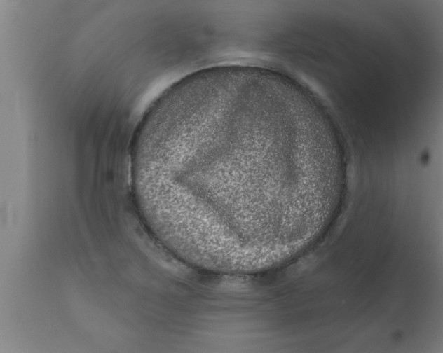 X0000111161267200907211218