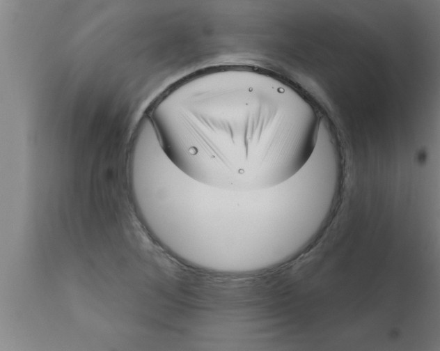 X0000111161268200907211218