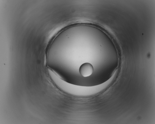 X0000111161269200907211218