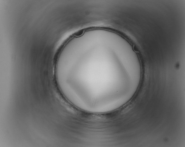 X0000111161270200907211218