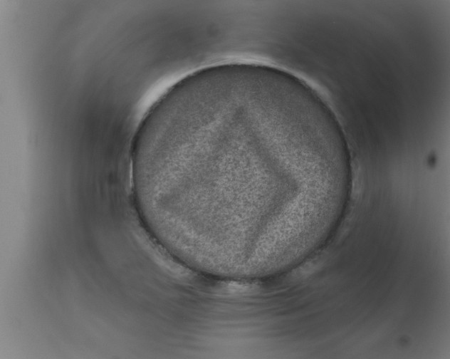 X0000111161271200907211218