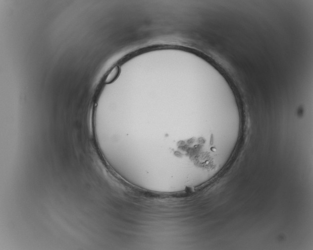 X0000111161272200907211218