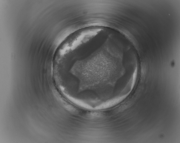 X0000111161274200907211218