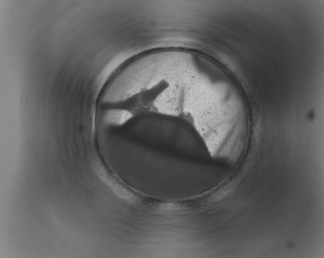 X0000111161275200907211218