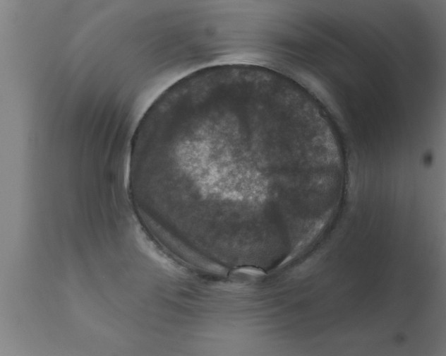 X0000111161276200907211218