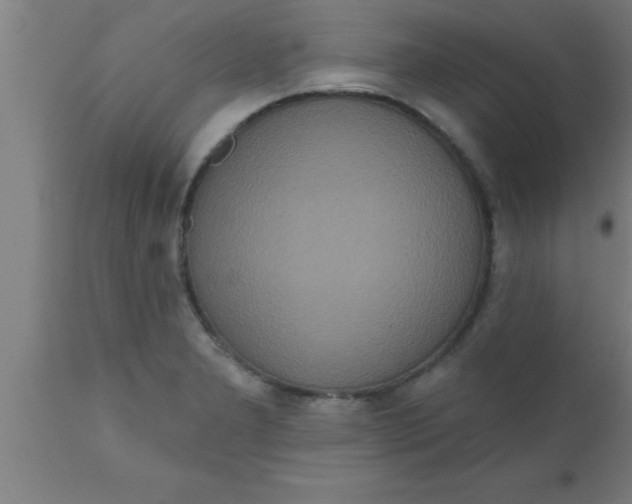 X0000111161277200907211218