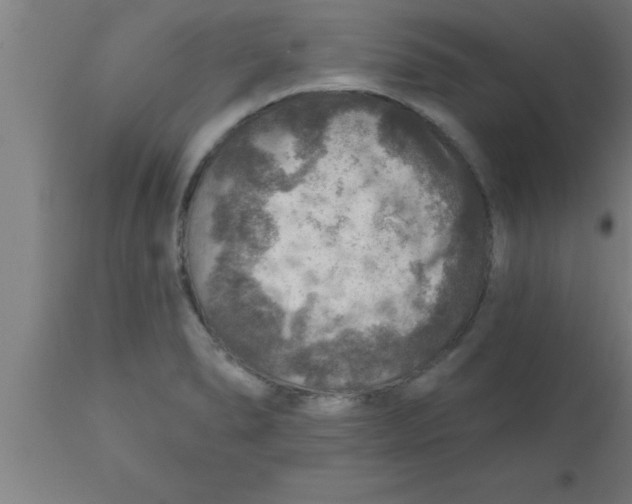 X0000111161278200907211218