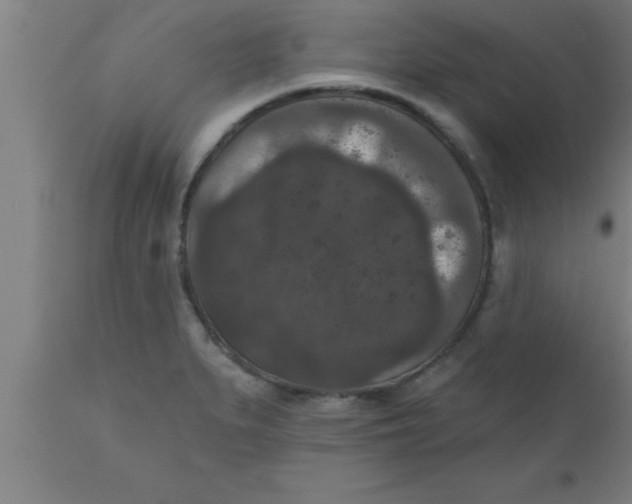 X0000111161279200907211218