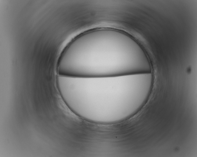 X0000111161280200907211218