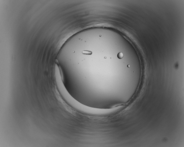 X0000111161281200907211218