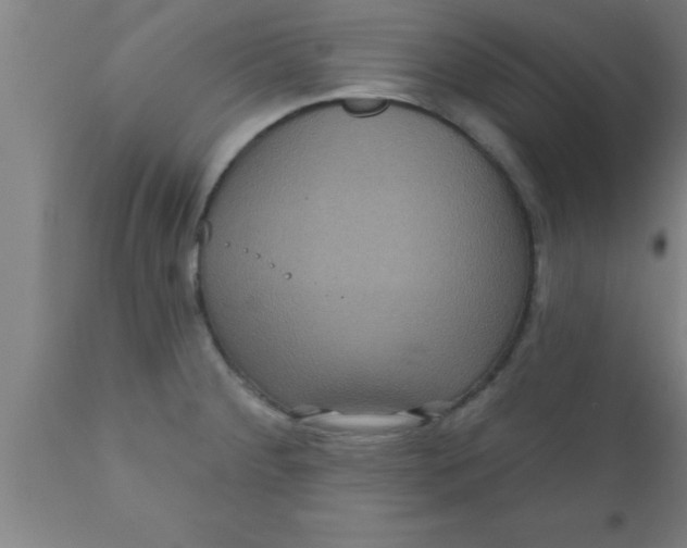 X0000111161284200907211218