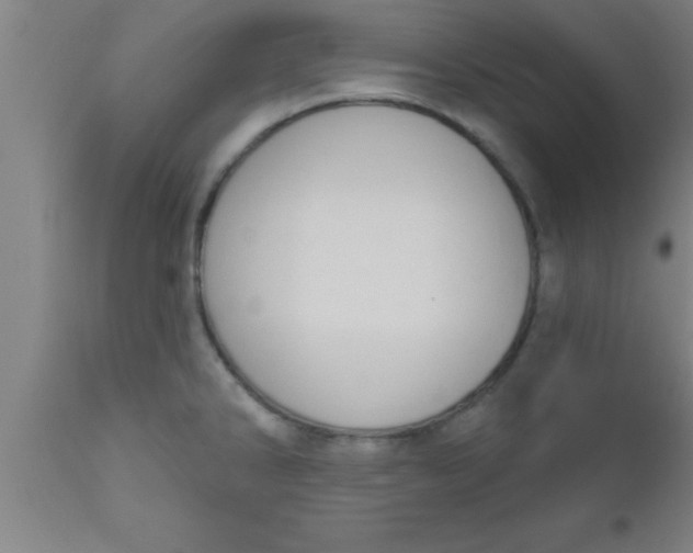 X0000111161286200907211218