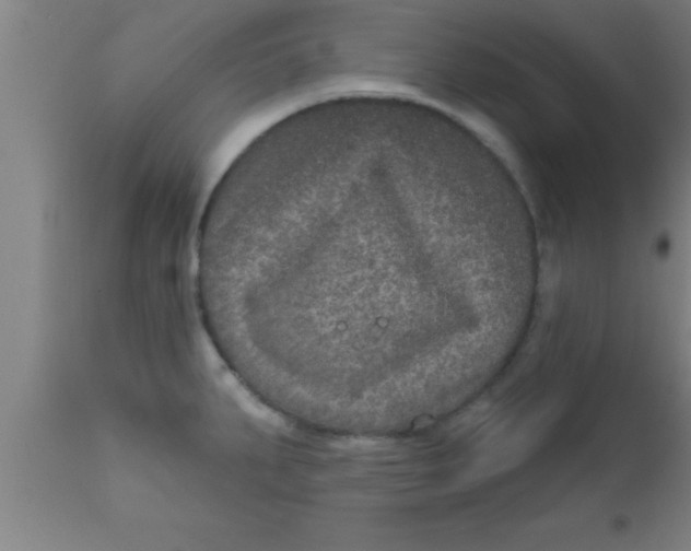 X0000111161287200907211218