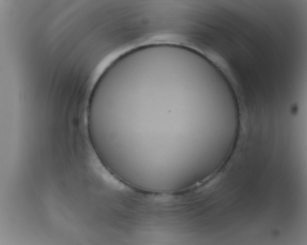 X0000111161288200907211218