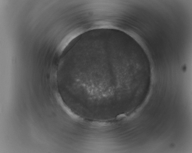 X0000111161289200907211218