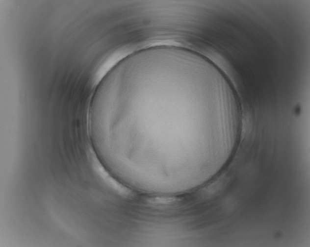 X0000111161290200907211218