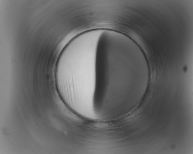 X0000111161291200907211218