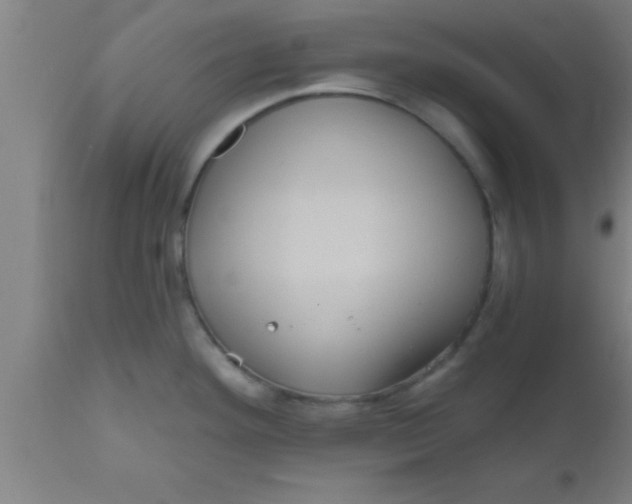 X0000111161292200907211218