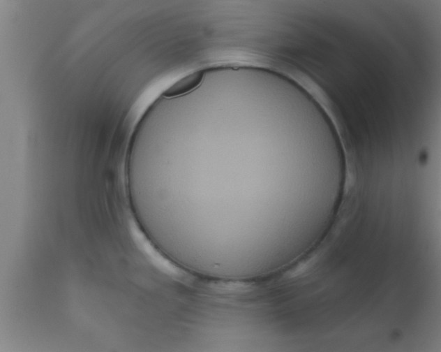 X0000111161293200907211218