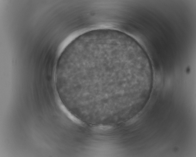 X0000111161294200907211218