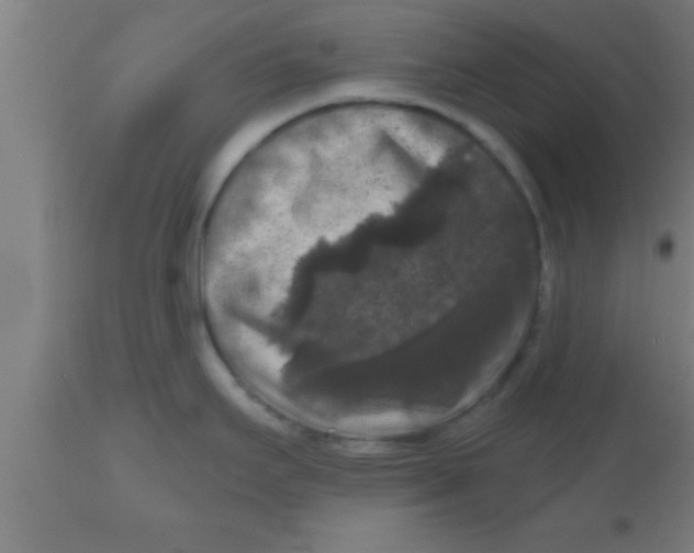 X0000111161295200907211218