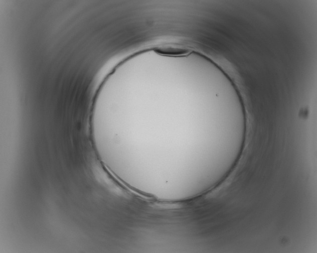 X0000111161296200907211218