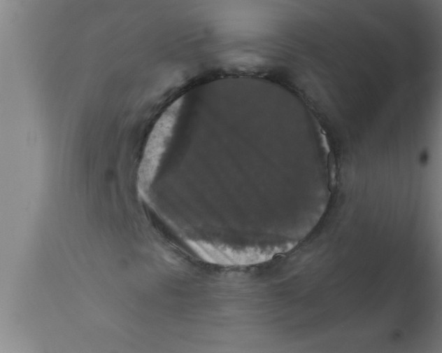 X0000111161297200907211217