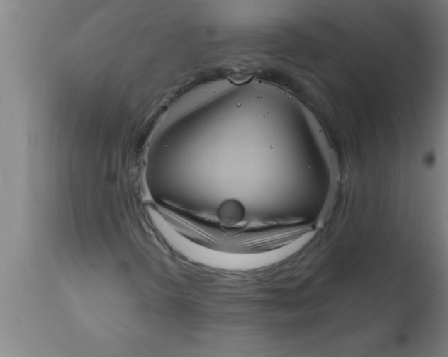 X0000111161298200907211217