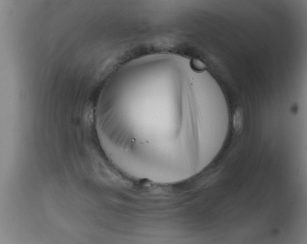 X0000111161299200907211217