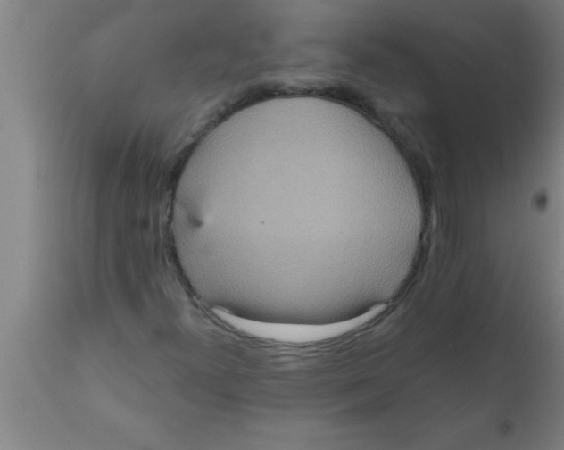 X0000111161300200907211217