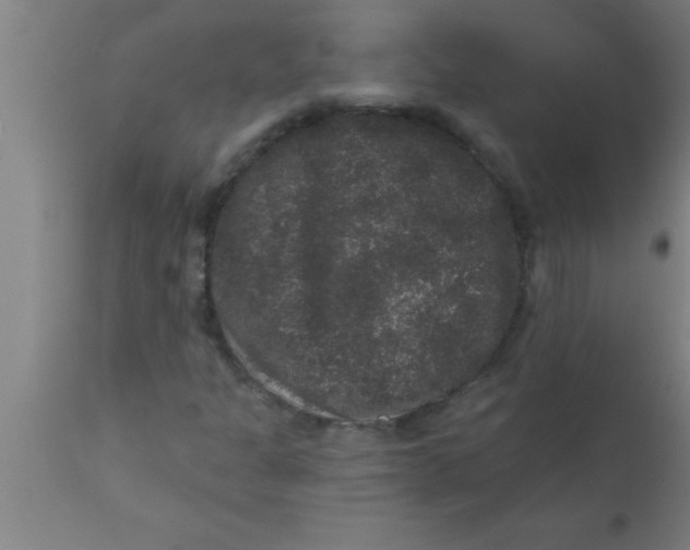 X0000111161301200907211217