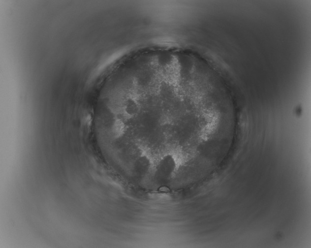 X0000111161302200907211217