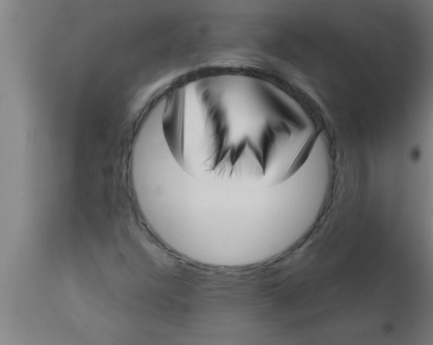 X0000111161304200907211217