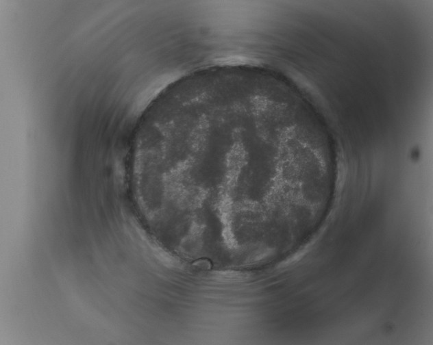 X0000111161305200907211217