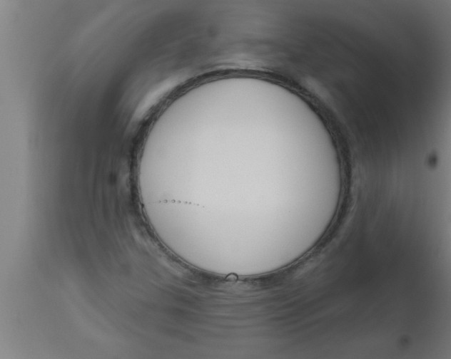 X0000111161307200907211217